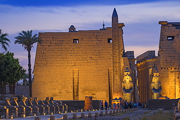 Avenue of Sphinxes, Luxor Temple, UNESCO World Heritage Site, Luxor, Egypt, North Africa, Africa