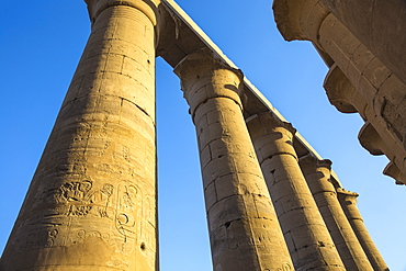 Luxor Temple, UNESCO World Heritage Site, Luxor, Egypt, North Africa, Africa