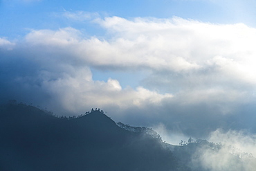 Haputale, above the clouds in the Sri Lanka Hill Country, Nuwara Eliya District, Sri Lanka, Asia