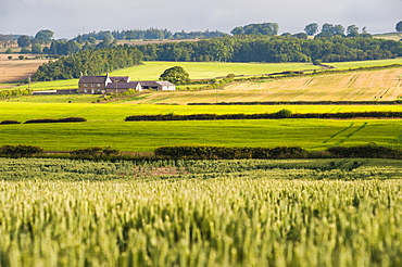 Farm house in Northumberland National Park, near Hexham, Northumberland, England, United Kingdom, Europe