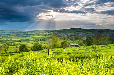 Rape in the Sudely Valley, Winchcombe, The Cotswolds, Gloucestershire, England, United Kingdom, Europe 