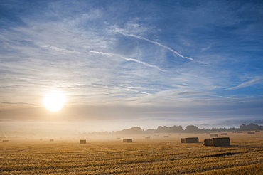 Misty sunrise at Longborough, a village in The Cotswolds, Gloucestershire, England, United Kingdom, Europe 