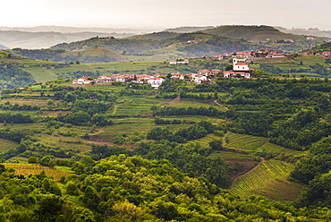 Vineyards and the hill top town of Vedrijan, Goriska Brda, Slovenia, Europe