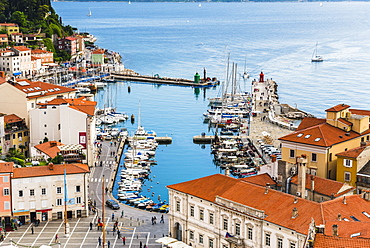 Port of Piran (Luka Piran), Primorska, Slovenian Istria, Slovenia, Europe