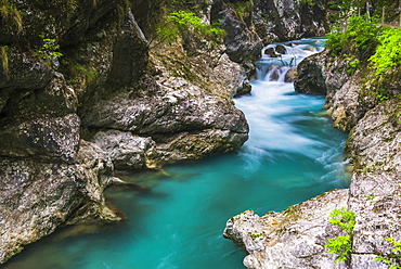 Tolminka River, Tolmin Gorges, Triglav National Park (Triglavski Narodni Park), Slovenia, Europe