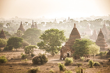 Sunrise at the Temples of Bagan (Pagan), Myanmar (Burma), Asia