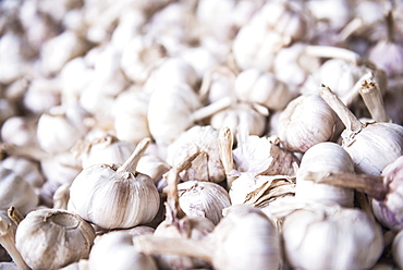 Garlic for sale at Hsipaw (Thibaw) market, Shan State, Myanmar (Burma), Asia