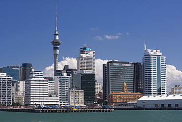 Auckland Sky Tower and city skyline, North Island, New Zealand, Pacific