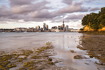 Auckland skyline at sunrise, Auckland, North Island, New Zealand, Pacific