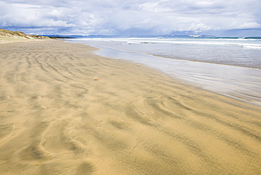 90 Mile Beach, Northland, North Island, New Zealand, Pacific