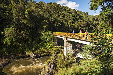 Tourists hiking in Ranomafana National Park, Madagascar Central Highlands, Madagascar, Africa