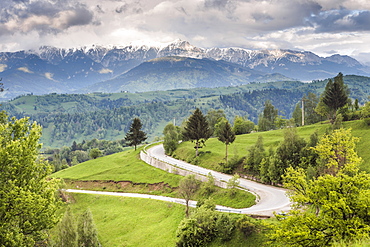 Rural countryside and Carpathian Mountains near Bran Castle at Pestera, Transylvania, Romania, Europe