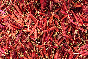 Red chillies for sale in Chaudi Market, Goa, India, Asia