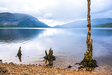 Canoeing Loch Lochy, part of the Caledonian Canal, Fort William, Scottish Highlands, Scotland, United Kingdom, Europe