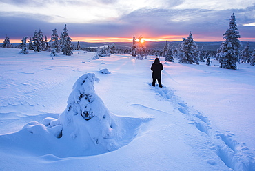 Hiking in Pallas-Yllastunturi National Park, Lapland, Finland, Europe