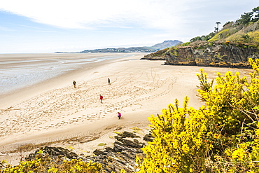 Portmeirion, Gwynedd, North Wales, Wales, United Kingdom, Europe