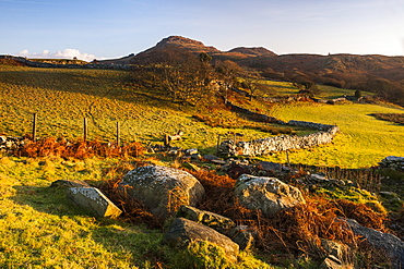 Snowdonia National Park landscape at sunrise, near Porthmadog, North Wales, Wales, United Kingdom, Europe