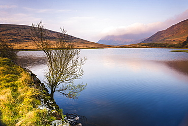 Lake at sunrise near the foot of Snowdon, Snowdonia National Park, North Wales, United Kingdom, Europe