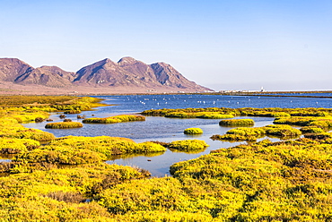 Cabo de Gata-Nijar Natural Park, Almeria, Andalucia, Spain, Europe