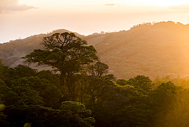 Monteverde Cloud Forest Reserve at sunset, Puntarenas, Costa Rica, Central America