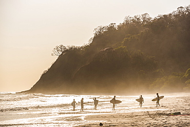 Surfers surfing on a beach at sunset, Nosara, Guanacaste Province, Pacific Coast, Costa Rica, Central America