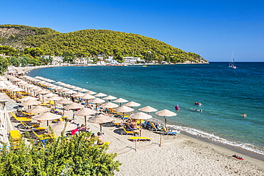 Beach on Poros Island, Saronic Island, Aegean Coast, Greek Islands, Greece, Europe