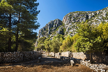 Ruins of Olympos, Antalya Province, Lycia, Anatolia, Mediterranean Sea, Turkey, Asia Minor, Eurasia