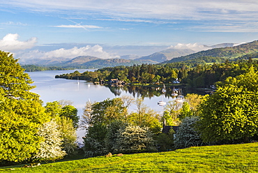 Sailing boats at Windermere at sunrise, Lake District  National Park, UNESCO World Heritage Site, Cumbria, England, United Kingdom, Europe