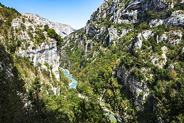 Verdon Gorge (Grand Canyon du Verdon), Alpes de Haute Provence, South of France, Europe