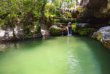 Oasis in Isalo National Park, Ihorombe Region, Southwest Madagascar, Africa