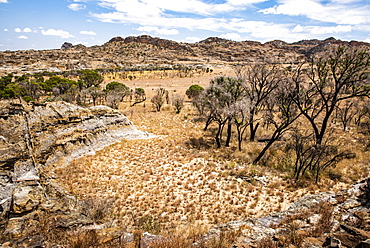 Isalo National Park, Ihorombe Region, Southwest Madagascar, Africa