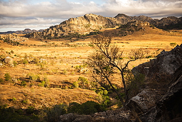 Isalo National Park landscape at sunrise, Ihorombe Region, Madagascar, Africa