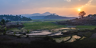 Rice paddy fields landscape at sunset, near Ranomafana, Haute Matsiatra Region, Madagascar, Africa