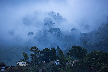 Misty morning in Ranomafana, Haute Matsiatra Region, Madagascar, Africa