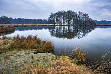 Pen Ponds, the lakes in Richmond Park, Richmond, London, England, United Kingdom, Europe