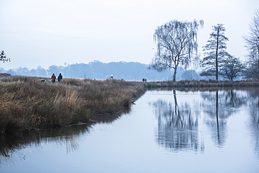 Pen Ponds, the lakes in Richmond Park, Richmond, London, England, United Kingdom, Europe