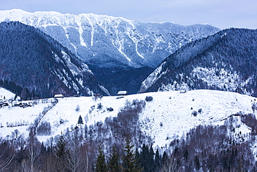 Carpathian Mountains snowy winter landscape, Pestera, Bran, Transylvania, Romania, Europe