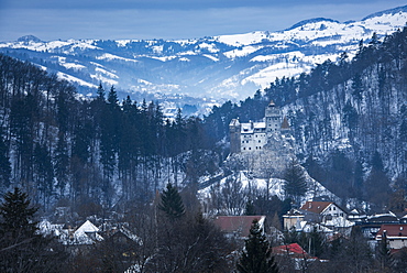 Bran Castle covered in snow in winter, Transylvania, Romania, Europe