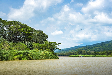 Tarcoles River, Carara National Park, Puntarenas Province, Costa Rica, Central America