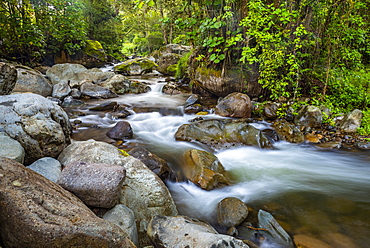 Savegre River (Rio Savegre), San Gerardo de Dota, San Jose Province, Costa Rica, Central America