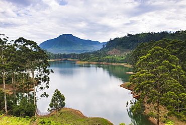 Maussakele Reservoir between Dalhousie and Hatton, Nuwara Eliya District of the Central Highlands, Sri Lanka, Asia