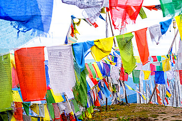 Buddhist prayer flags, Chelela Pass, Himalayas, Bhutan, Asia