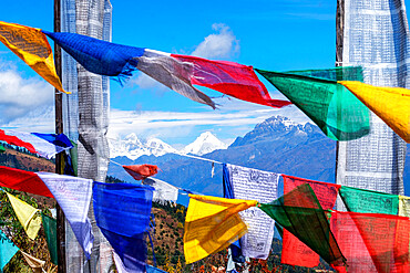 Buddhist prayer flags at Chelela Pass against snowcapped Himalayas, Bhutan, Asia