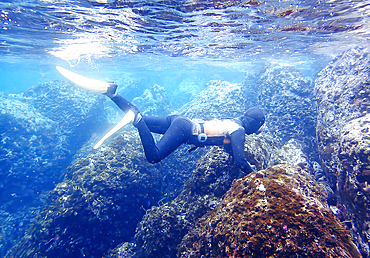 Haenyeo women, famous for diving into their eighties and holding their breath for up to two minutes, free-diving for seafood and crustaceans, Jeju Island, South Korea, Asia