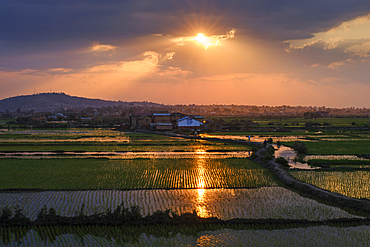 Sunset over rice fields in Antananarivo.
