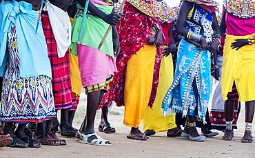 Portrait of Samburu tribe members dancing the traditional wedding dance at dusk, Kenya, East Africa, Africa