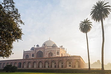 Palm trees by Humayun's Tomb at sunrise in Delhi, India, Asia