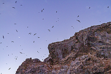 A dawn view of Boatswain Bird Island just off Ascension Island in the southern tropical Atlantic Ocean, South Atlantic Ocean