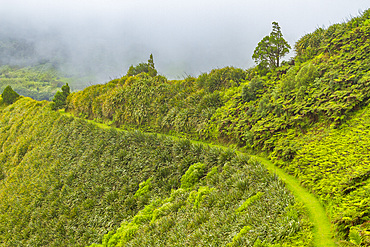 View from the trail of Diana's Peak National Park on Saint Helena, South Atlantic Ocean