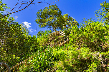 View of the trail to the heart-shaped waterfall just outside Jamestown on Saint Helena, South Atlantic Ocean